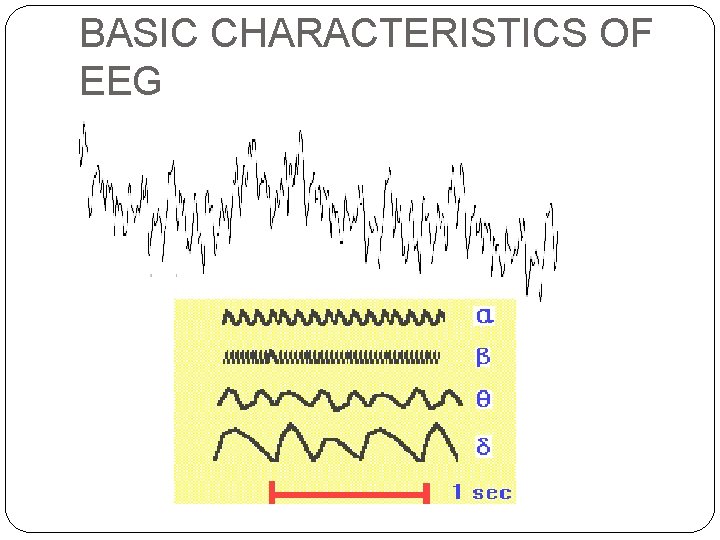 BASIC CHARACTERISTICS OF EEG 