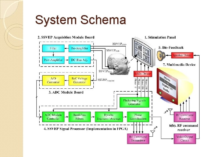 System Schema 