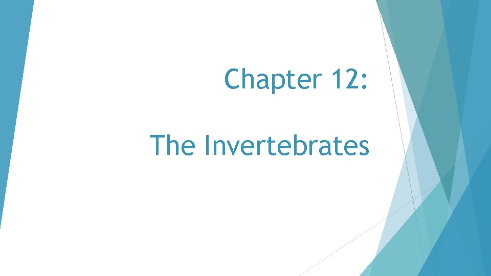 Chapter 12: The Invertebrates 