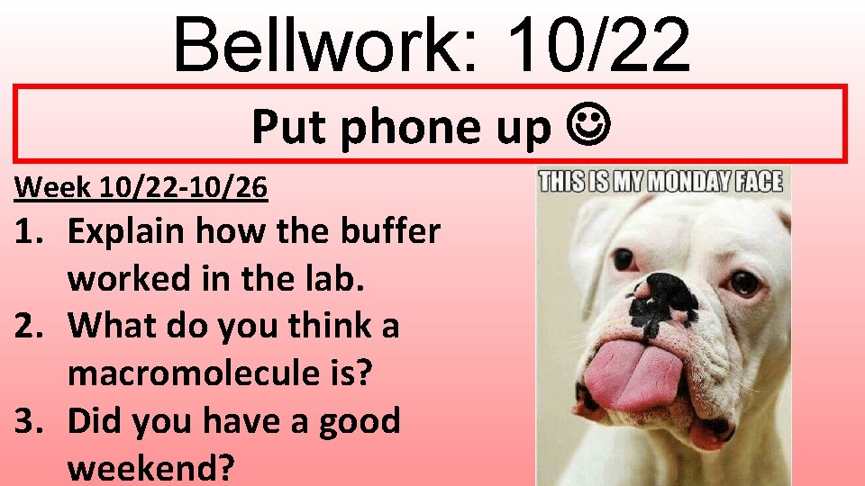 Bellwork: 10/22 Put phone up Week 10/22 -10/26 1. Explain how the buffer worked