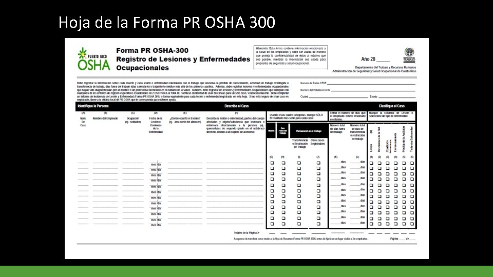 Hoja de la Forma PR OSHA 300 