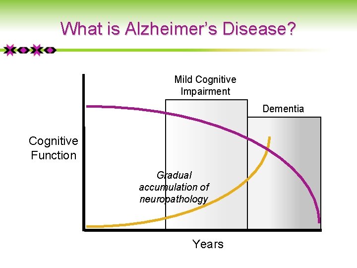 What is Alzheimer’s Disease? Mild Cognitive Impairment Dementia Cognitive Function Gradual accumulation of neuropathology