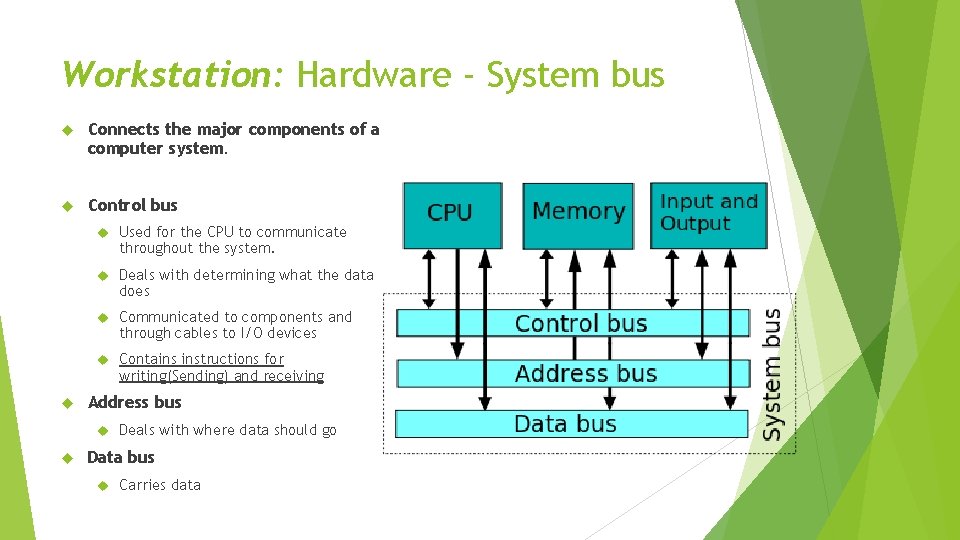 Workstation: Hardware - System bus Connects the major components of a computer system. Control