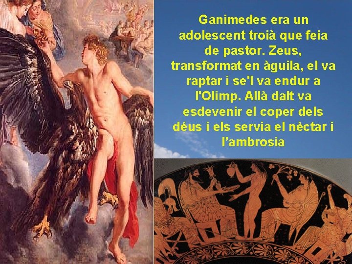 Ganimedes era un adolescent troià que feia de pastor. Zeus, transformat en àguila, el