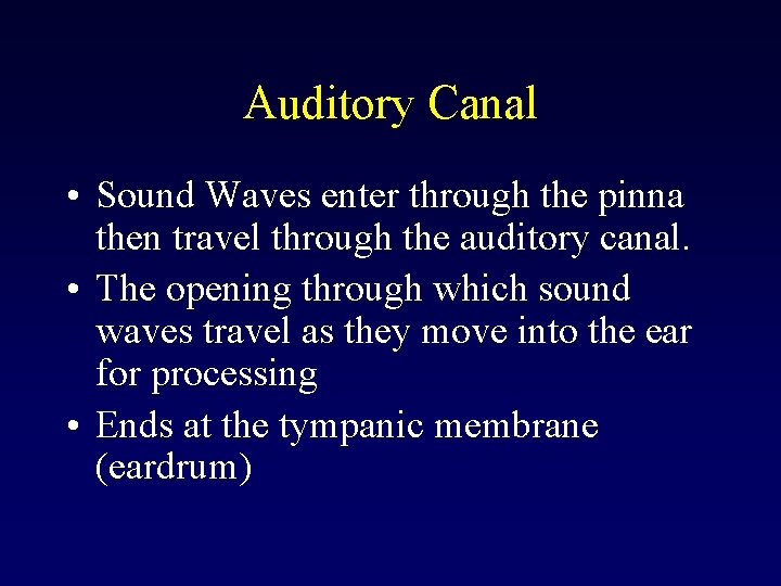 Auditory Canal • Sound Waves enter through the pinna then travel through the auditory