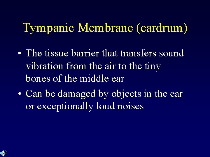 Tympanic Membrane (eardrum) • The tissue barrier that transfers sound vibration from the air