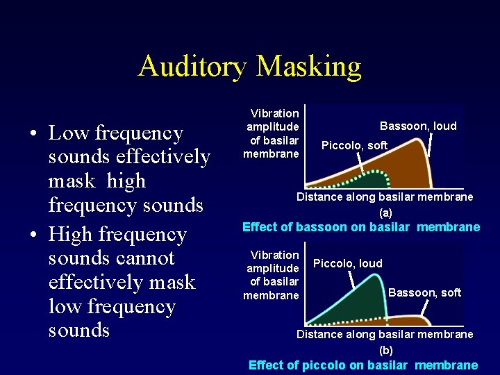 Auditory Masking • Low frequency sounds effectively mask high frequency sounds • High frequency