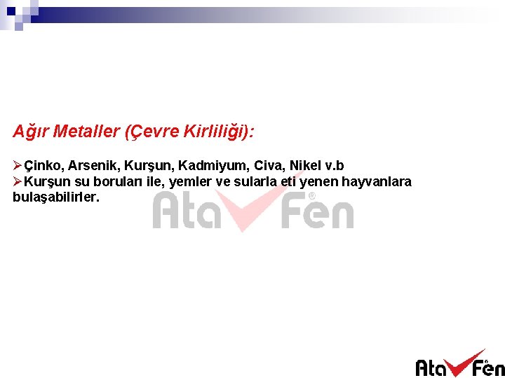 Ağır Metaller (Çevre Kirliliği): ØÇinko, Arsenik, Kurşun, Kadmiyum, Civa, Nikel v. b ØKurşun su