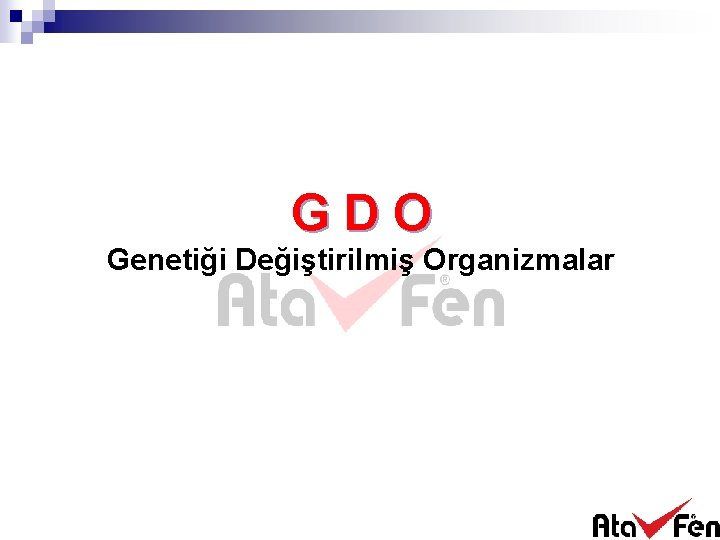 GDO Genetiği Değiştirilmiş Organizmalar 