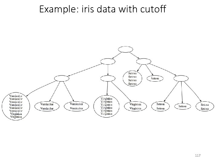 Example: iris data with cutoff 117 