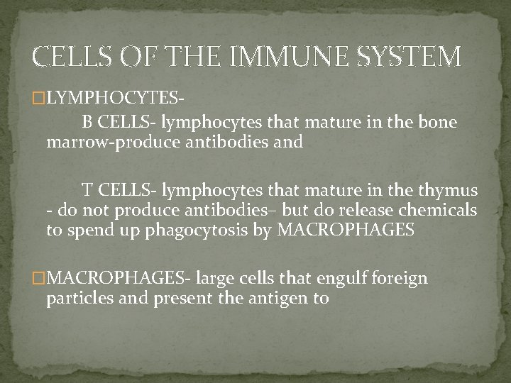 CELLS OF THE IMMUNE SYSTEM �LYMPHOCYTES- B CELLS- lymphocytes that mature in the bone