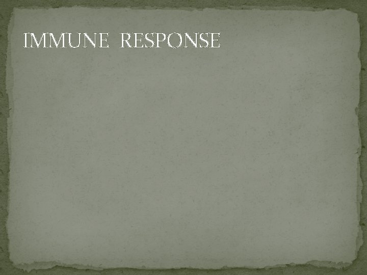 IMMUNE RESPONSE 