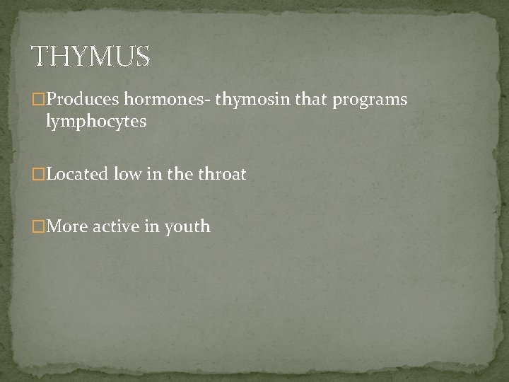 THYMUS �Produces hormones- thymosin that programs lymphocytes �Located low in the throat �More active