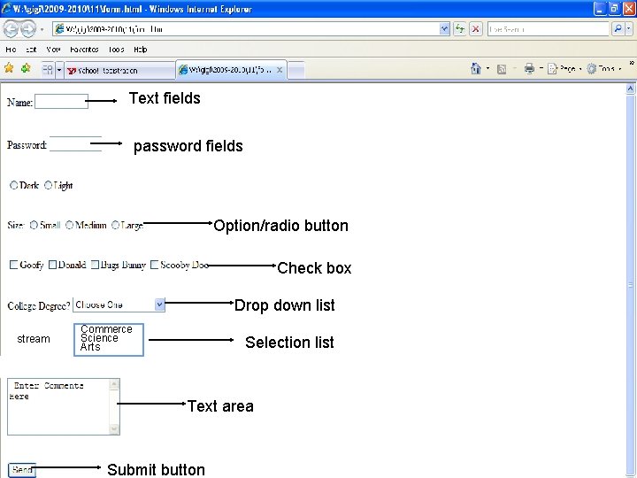 Text fields password fields Option/radio button Check box Drop down list stream Commerce Science