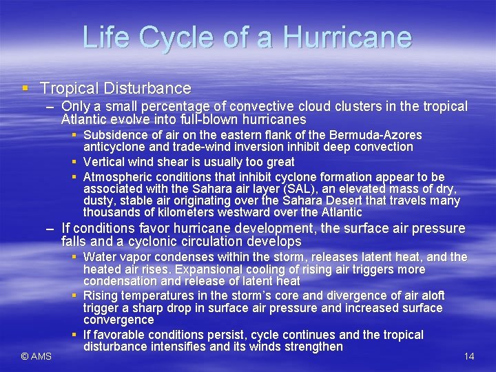 Life Cycle of a Hurricane § Tropical Disturbance – Only a small percentage of