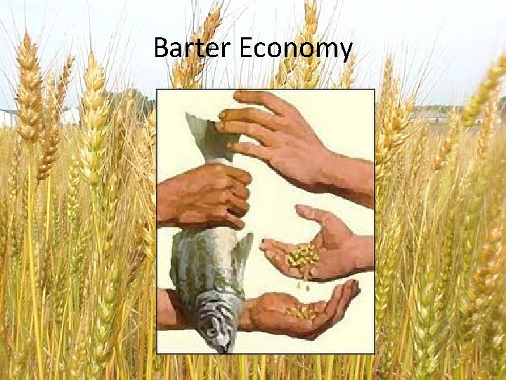 Barter Economy 
