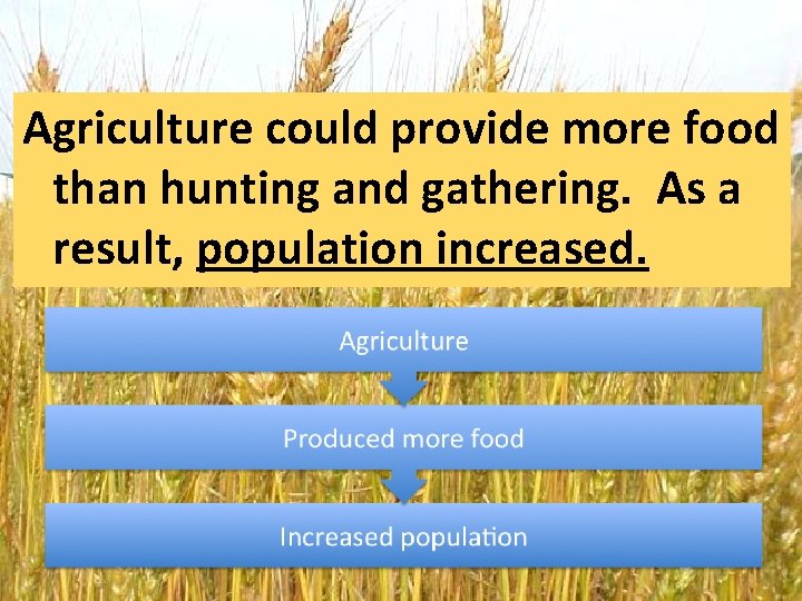 Agriculture could provide more food than hunting and gathering. As a result, population increased.