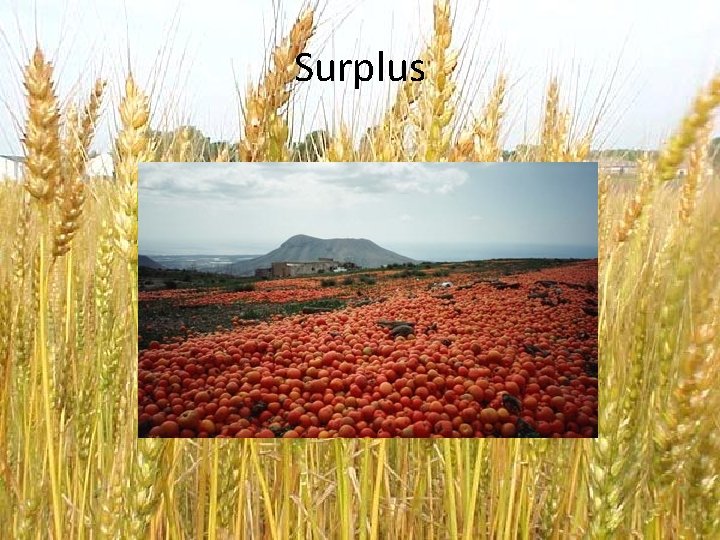 Surplus 
