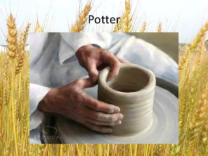 Potter 