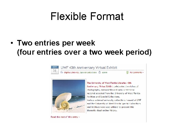 Flexible Format • Two entries per week (four entries over a two week period)