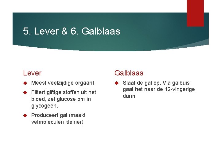 5. Lever & 6. Galblaas Lever Meest veelzijdige orgaan! Filtert giftige stoffen uit het