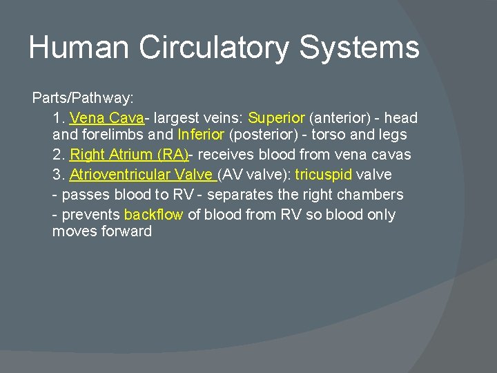 Human Circulatory Systems Parts/Pathway: 1. Vena Cava- largest veins: Superior (anterior) - head and