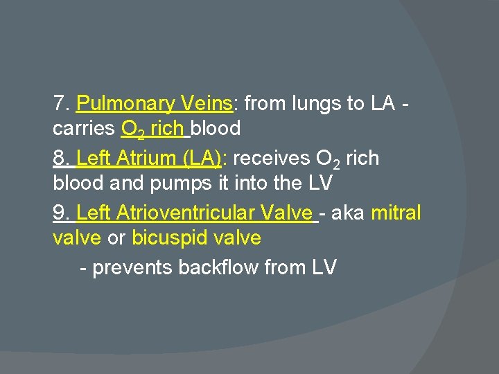 7. Pulmonary Veins: from lungs to LA carries O 2 rich blood 8. Left