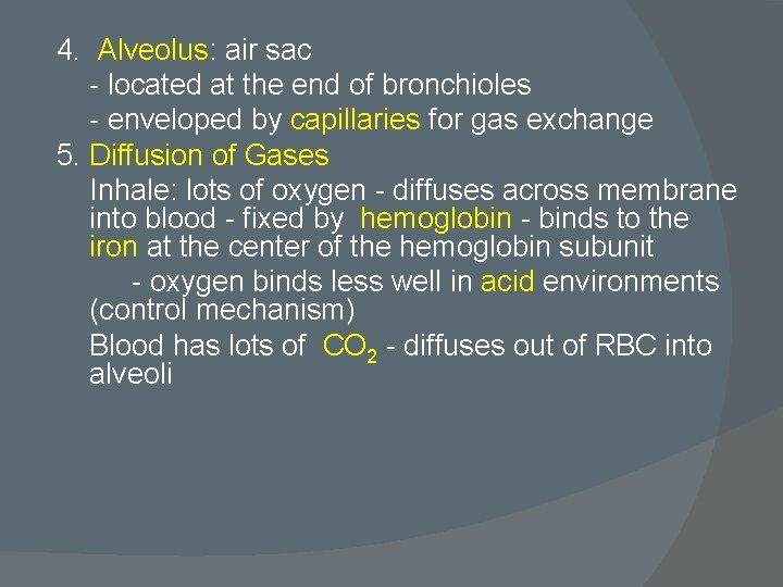 4. Alveolus: air sac - located at the end of bronchioles - enveloped by