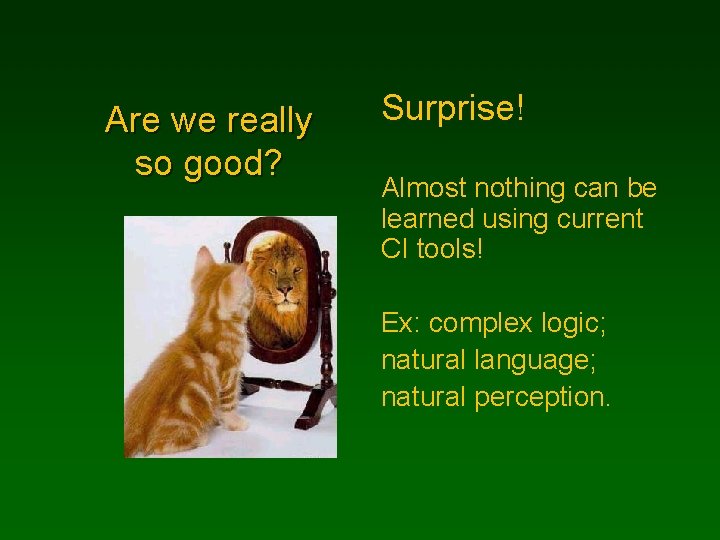 Are we really so good? Surprise! Almost nothing can be learned using current CI