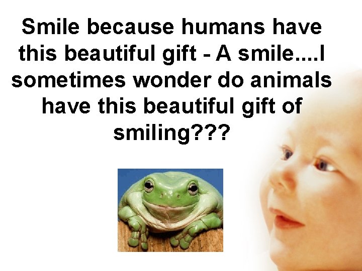 Smile because humans have this beautiful gift - A smile. . I sometimes wonder