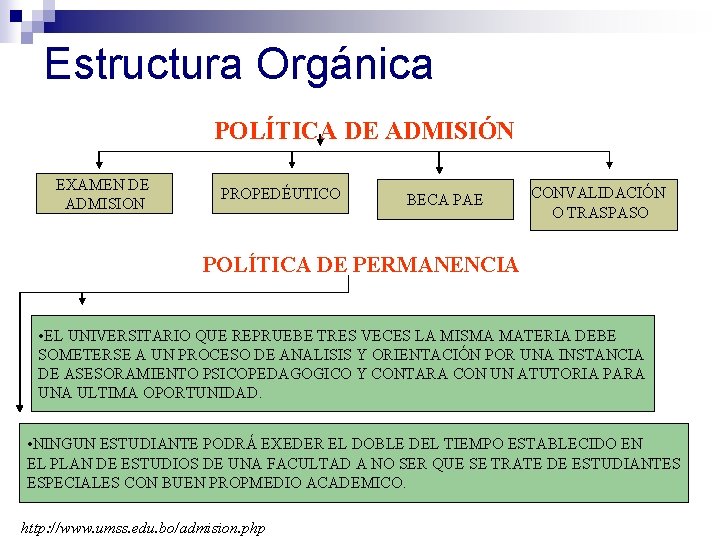 Estructura Orgánica POLÍTICA DE ADMISIÓN EXAMEN DE ADMISION PROPEDÉUTICO BECA PAE CONVALIDACIÓN O TRASPASO