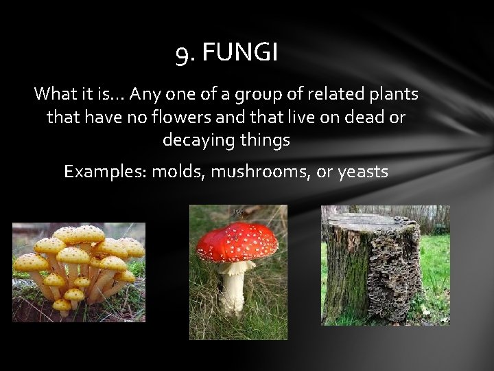 9. FUNGI What it is… Any one of a group of related plants that