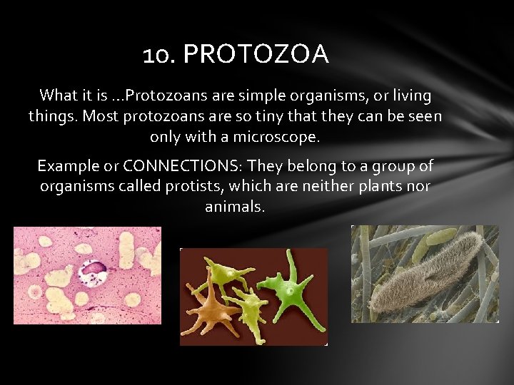 10. PROTOZOA What it is …Protozoans are simple organisms, or living things. Most protozoans
