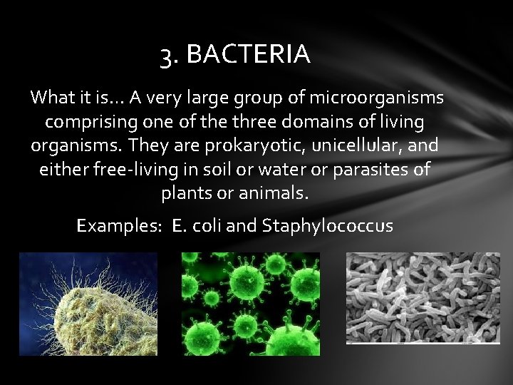 3. BACTERIA What it is… A very large group of microorganisms comprising one of