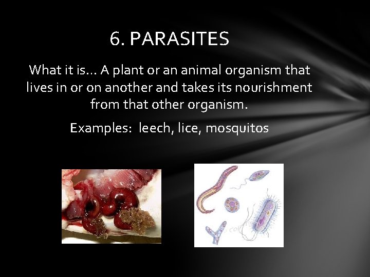 6. PARASITES What it is… A plant or an animal organism that lives in