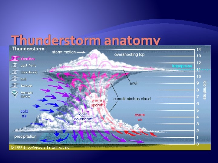 Thunderstorm anatomy 