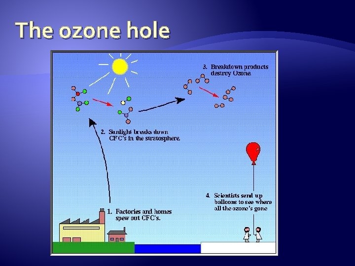 The ozone hole 