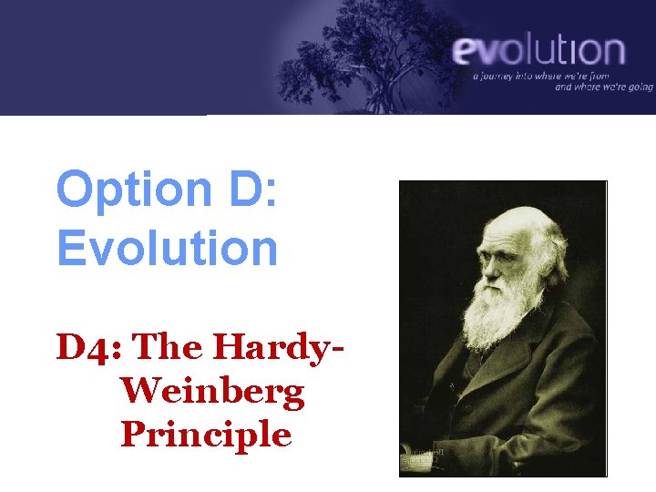 Option D: Evolution D 4: The Hardy. Weinberg Principle 