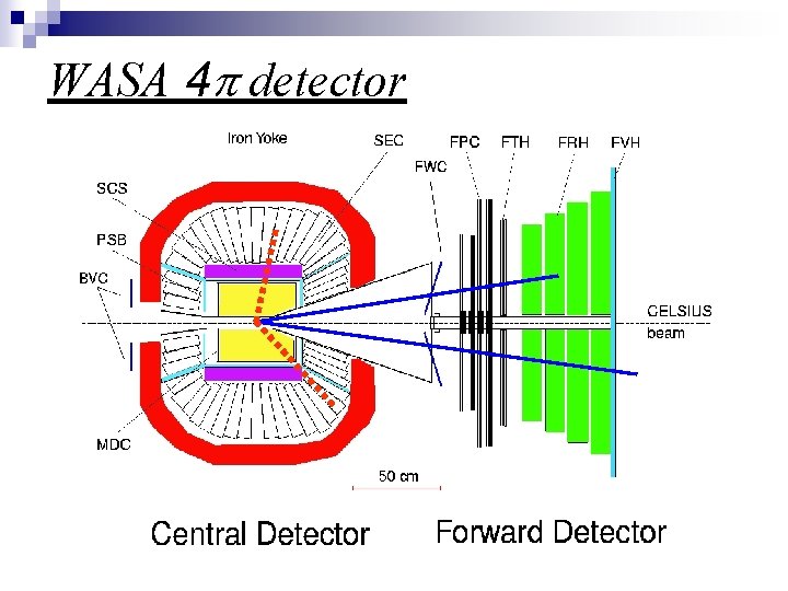 WASA 4 p detector 