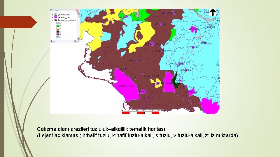 Çalışma alanı arazileri tuzluluk–alkalilik tematik haritası (Lejant açıklaması; h: hafif tuzlu, k: hafif tuzlu-alkali,