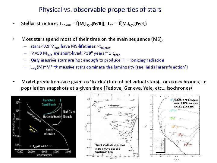 Physical vs. observable properties of stars • Stellar structure: Lbolom = f(M, tage, [Fe/H]),