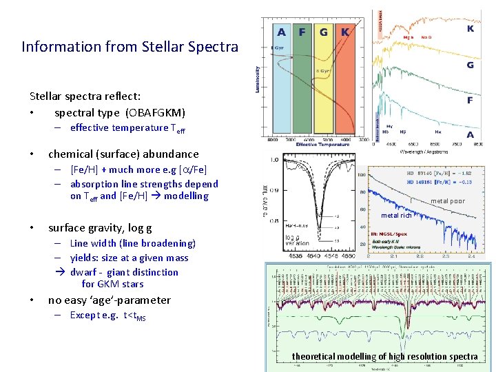 Information from Stellar Spectra Stellar spectra reflect: • spectral type (OBAFGKM) – effective temperature