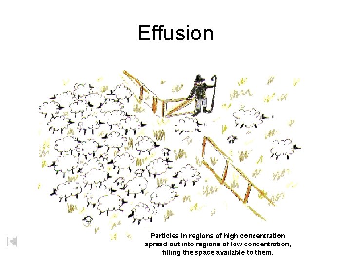 Effusion Particles in regions of high concentration spread out into regions of low concentration,