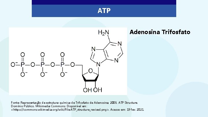 ATP Adenosina Trifosfato Fonte: Representação de estrutura química de Trifosfato de Adenosina, 2008. ATP