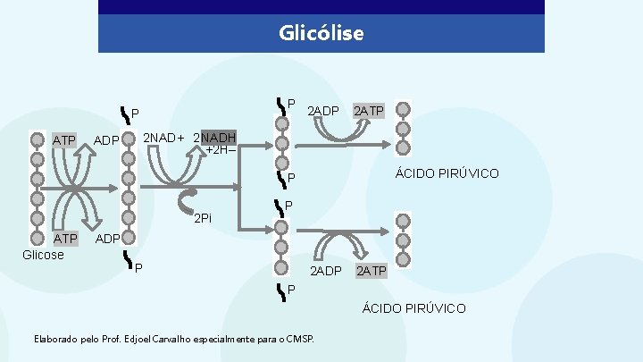 Glicólise P P ATP ADP 2 ATP 2 NAD+ 2 NADH +2 H– ÁCIDO