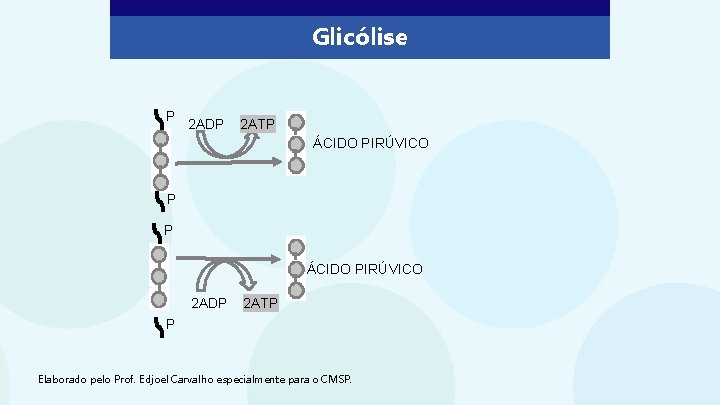 Glicólise P 2 ADP 2 ATP ÁCIDO PIRÚVICO P P ÁCIDO PIRÚVICO 2 ADP