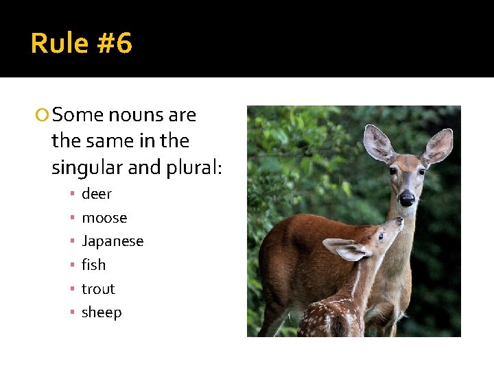 Rule #6 Some nouns are the same in the singular and plural: ▪ ▪