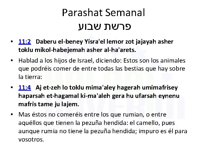 Parashat Semanal פרשת שבוע • 11: 2 Daberu el-beney Yisra'el lemor zot jajayah asher