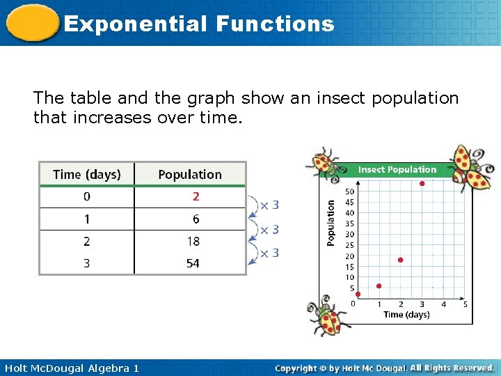Exponential Functions The table and the graph show an insect population that increases over