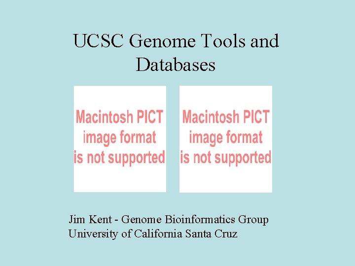 UCSC Genome Tools and Databases Jim Kent - Genome Bioinformatics Group University of California